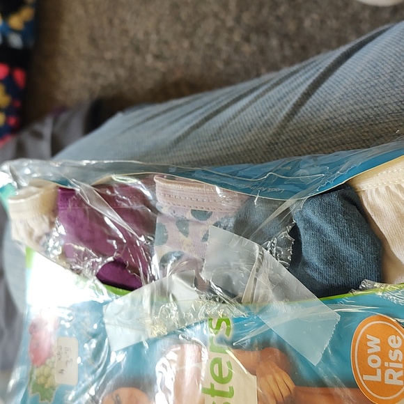 Fruit of Loom Ladies 5 pack hipster panties, new - Picture 3 of 4